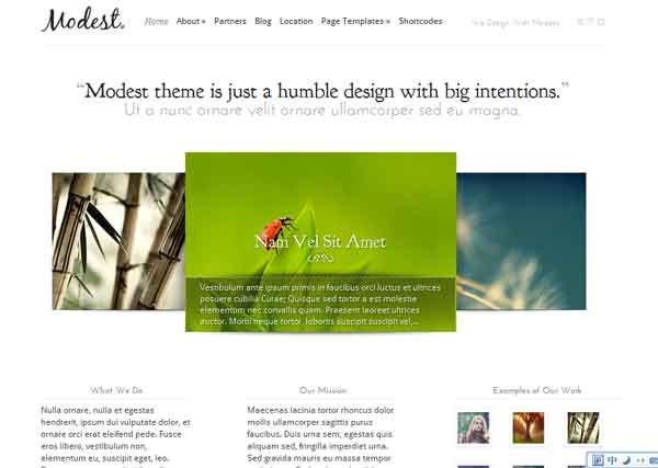 wordpress主题Modest 内敛不张扬