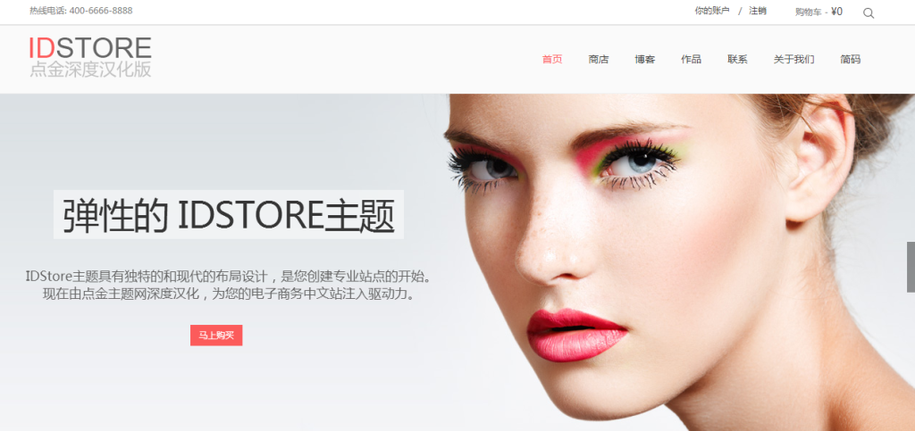 IDStore电商主题点金汉化版更新到v3.4