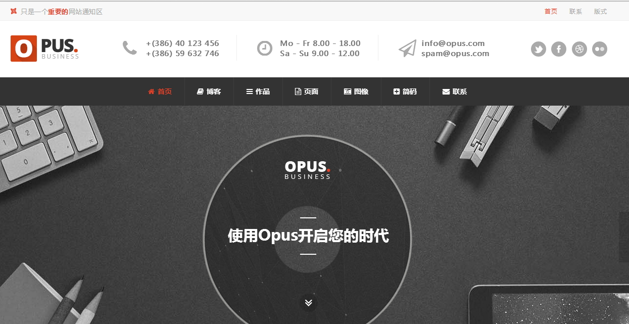 Opus汉化版