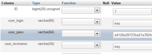 Lost Password - 10 Most Common WordPress Errors (+Solutions)