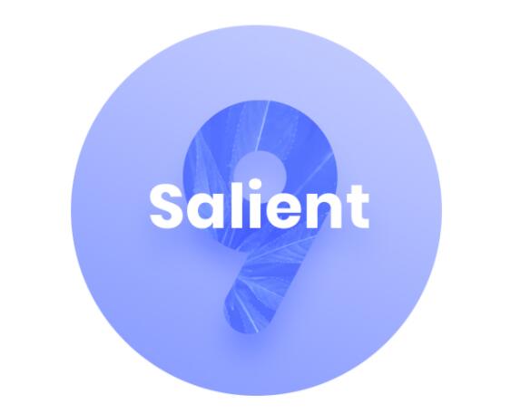 Salient汉化版更新至v9.0.1