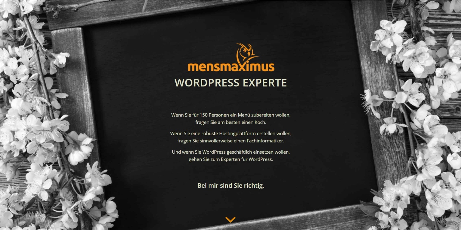 WordPress Experte