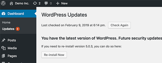 保持WordPress更新
