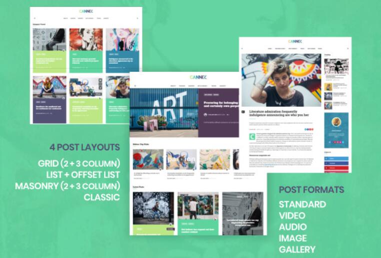 Cannix v1.3.1- 创意活力的WordPress主题