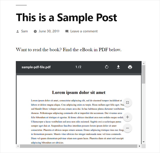 PDF嵌入在WordPress Post Preview中