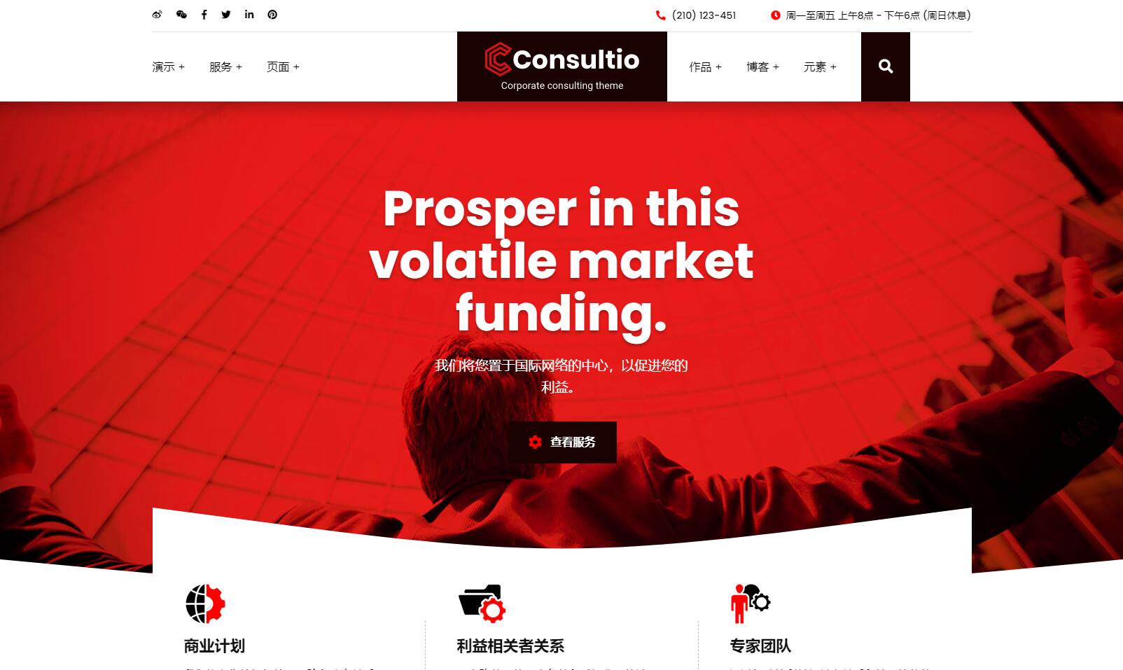 Consultio汉化版