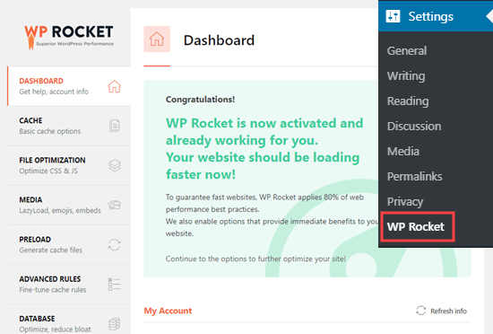 该消息显示WP Rocket处于活动状态并且正在您的站点上运行