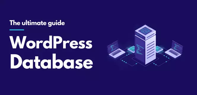 WordPress 数据库的终极指南