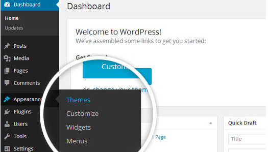 使用 WordPress 仪表板访问主题。
