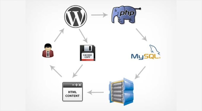 Traditional Business Layout