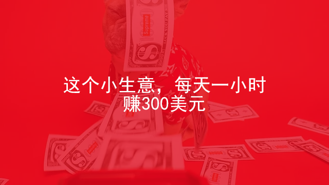 这个小生意，每天1个小时，轻松赚300美元